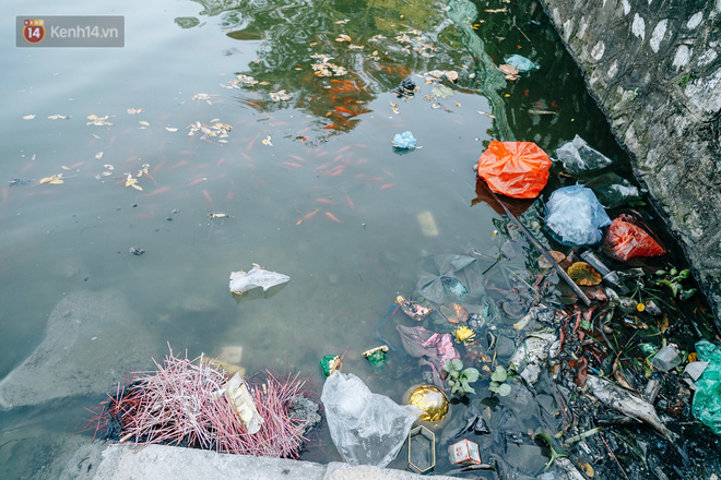 Ảnh: Cá chép chết nổi mặt hồ Tây, bàn thờ, bát hương bị vứt thẳng xuống hồ
