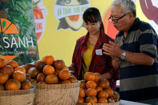 Đặc sản Tết tấp nập đổ về Sài Gòn