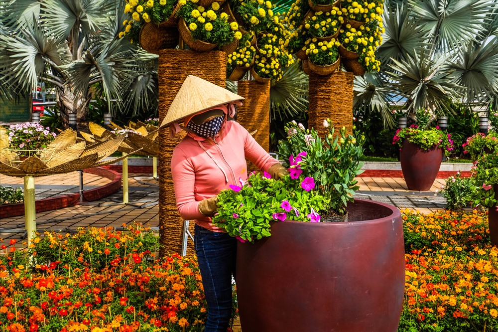 Cầu Vàng Đà Nẵng nghìn người check-in xuống phố đón xuân Kỷ Hợi
