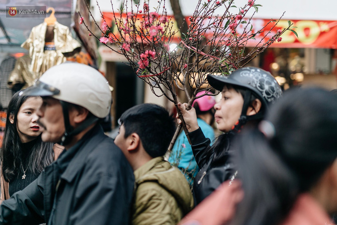 Video ảnh: Rộn ràng không khí Tết tại chợ hoa Hàng Lược - phiên chợ truyền thống lâu đời nhất ở Hà Nội