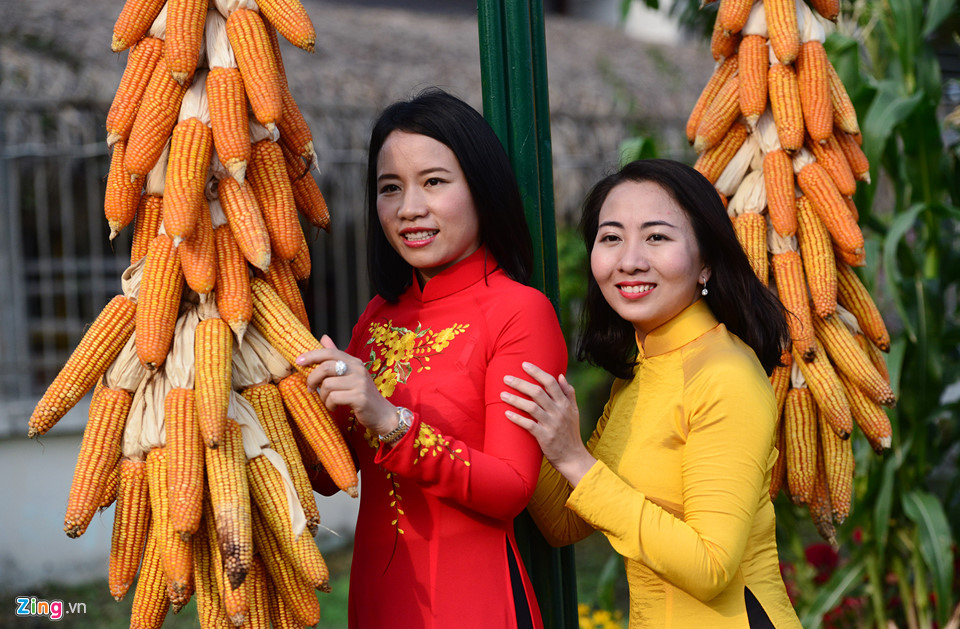 Cận cảnh đường hoa Tết đầu tiên mở cửa tham quan ở Sài Gòn