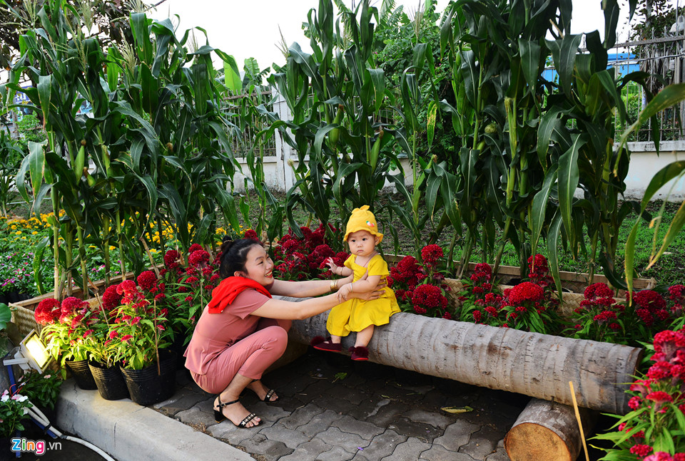 Cận cảnh đường hoa Tết đầu tiên mở cửa tham quan ở Sài Gòn