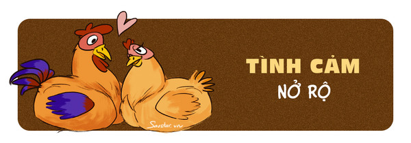 Tử vi tuổi Dậu 2019: Sự nghiệp có bước đột phá, tiền tài nhỉnh hơn năm cũ