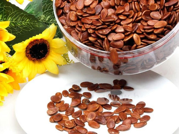 Tại sao bạn nên ăn hạt dưa ngày Tết?