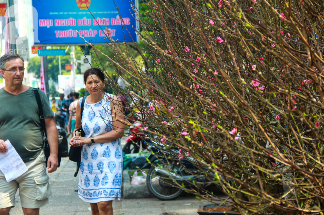 25 triệu đồng một gốc đào vẫn cháy hàng tại Sài Gòn, người bán không lo rớt giá dịp Tết