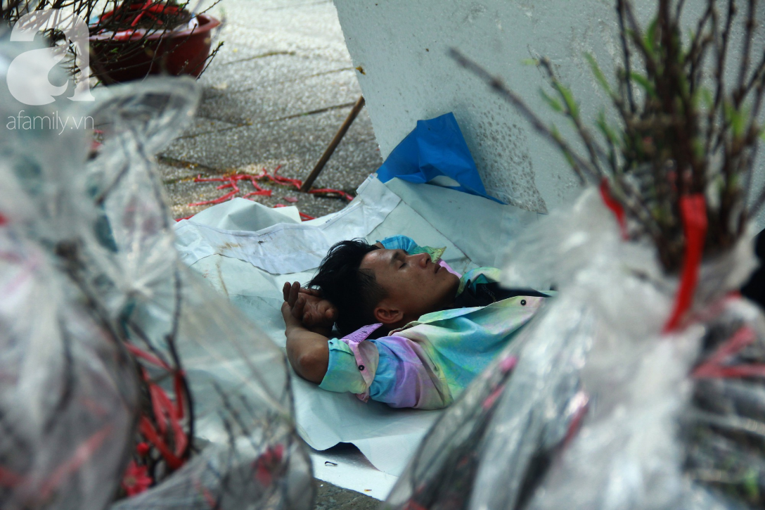 25 triệu đồng một gốc đào vẫn cháy hàng tại Sài Gòn, người bán không lo rớt giá dịp Tết