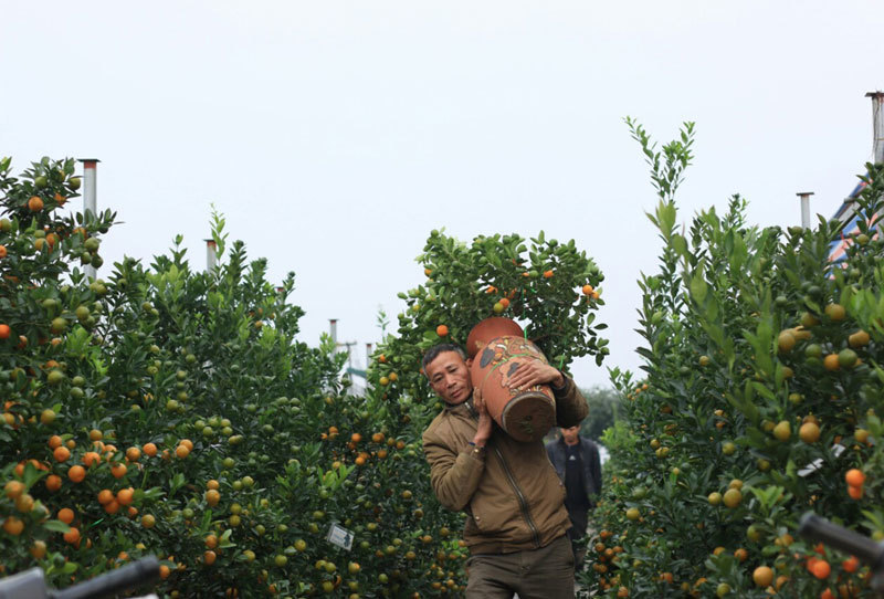 Bao tải đất bí ẩn, độc chiêu kiếm 1 triệu/ngày của bác xe ôm Nhật Tân
