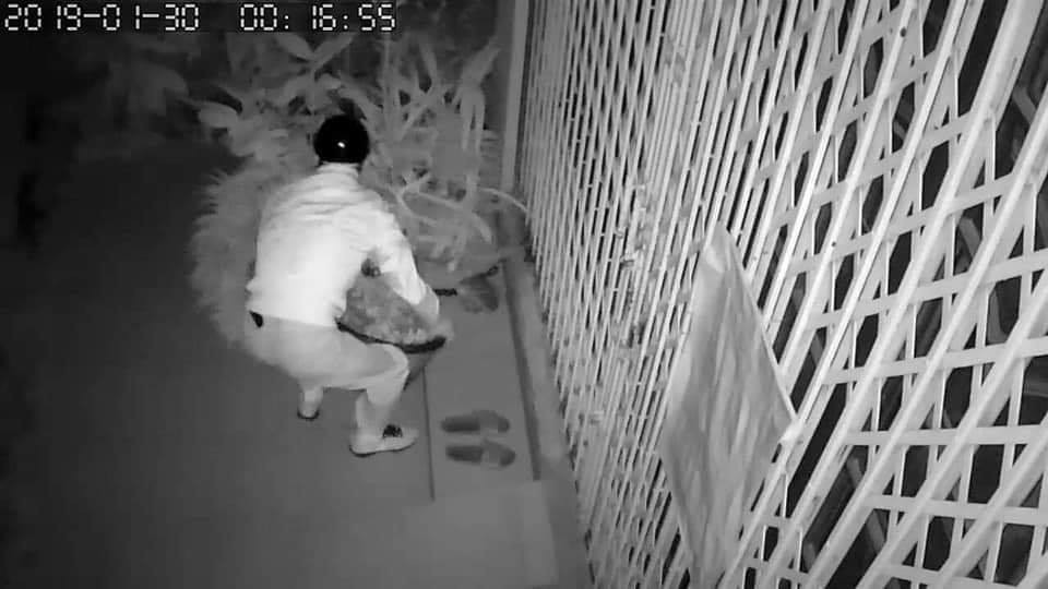 Chọn nhầm nhà để ăn trộm, kẻ gian bỗng dưng phải còng lưng bê vác rồi bất lực bỏ lại chậu mai