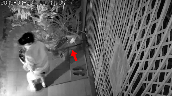 Chọn nhầm nhà để ăn trộm, kẻ gian bỗng dưng phải còng lưng bê vác rồi bất lực bỏ lại chậu mai
