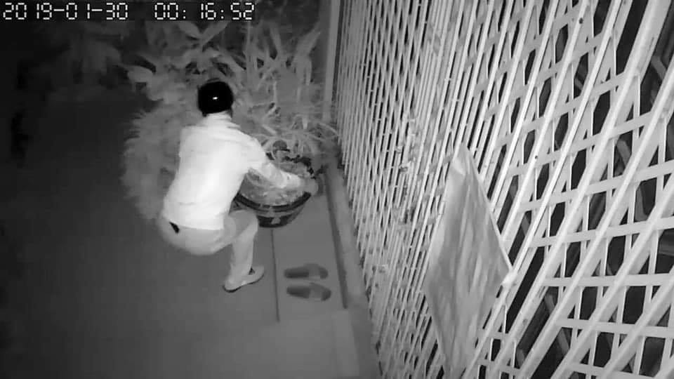 Chọn nhầm nhà để ăn trộm, kẻ gian bỗng dưng phải còng lưng bê vác rồi bất lực bỏ lại chậu mai
