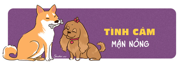 Tử vi tuổi Tuất 2019: Vận trình khởi sắc, thời kỳ bung lụa đến rồi Tử vi tuổi Tuất 2019: Vận trình khởi sắc, thời kỳ bung lụa đến rồi