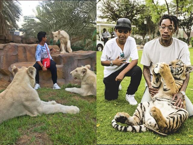 Mới 17 tuổi, thiếu gia Dubai đã là tay chơi chính hiệu, nuôi cả một vườn thú trong lâu đài