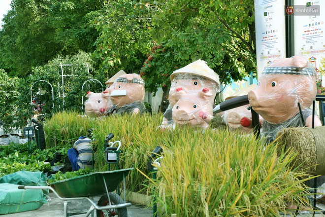 Cận cảnh đường hoa Nguyễn Huệ ở Sài Gòn trước giờ khai mạc đón Tết Kỷ Hợi 2019