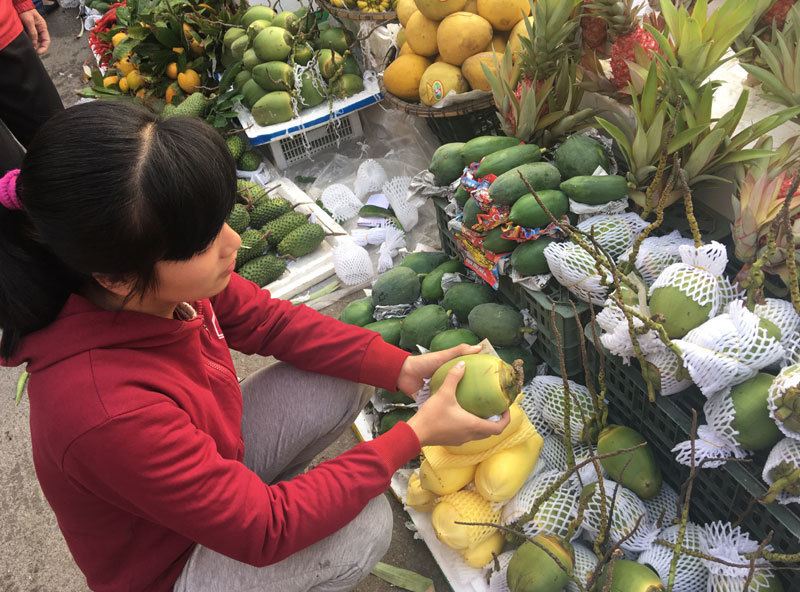 Chuối xanh 400 ngàn/nải, dưa hấu tăng giá gấp 4