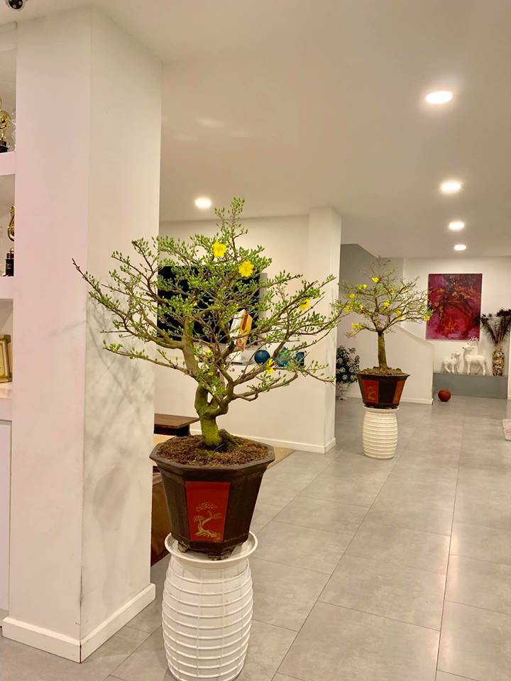 Sao Vbiz trang hoàng nhà cửa đón năm mới: Người xa hoa lộng lẫy, người giản đơn vẫn đủ đầy vị Tết!