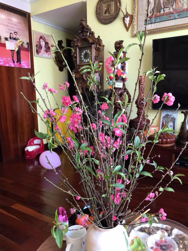 Sao Vbiz trang hoàng nhà cửa đón năm mới: Người xa hoa lộng lẫy, người giản đơn vẫn đủ đầy vị Tết!