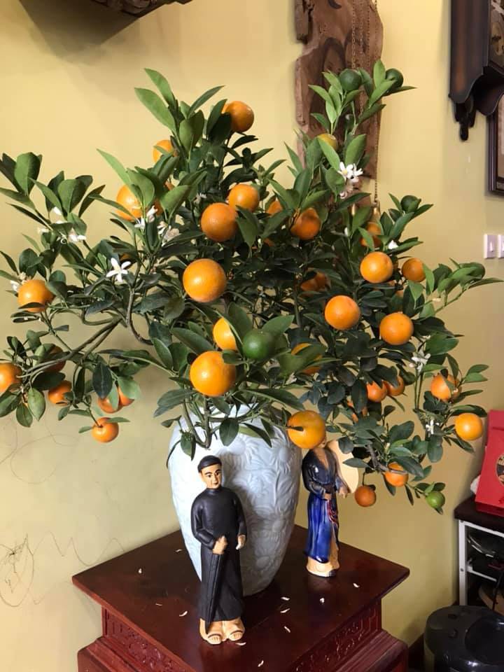 Sao Vbiz trang hoàng nhà cửa đón năm mới: Người xa hoa lộng lẫy, người giản đơn vẫn đủ đầy vị Tết!