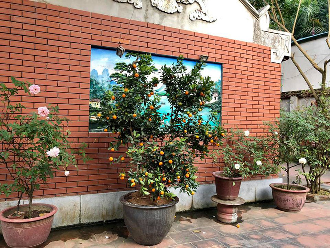 Cuộc sống giàu có của 3 diễn viên hài nổi tiếng miền Bắc