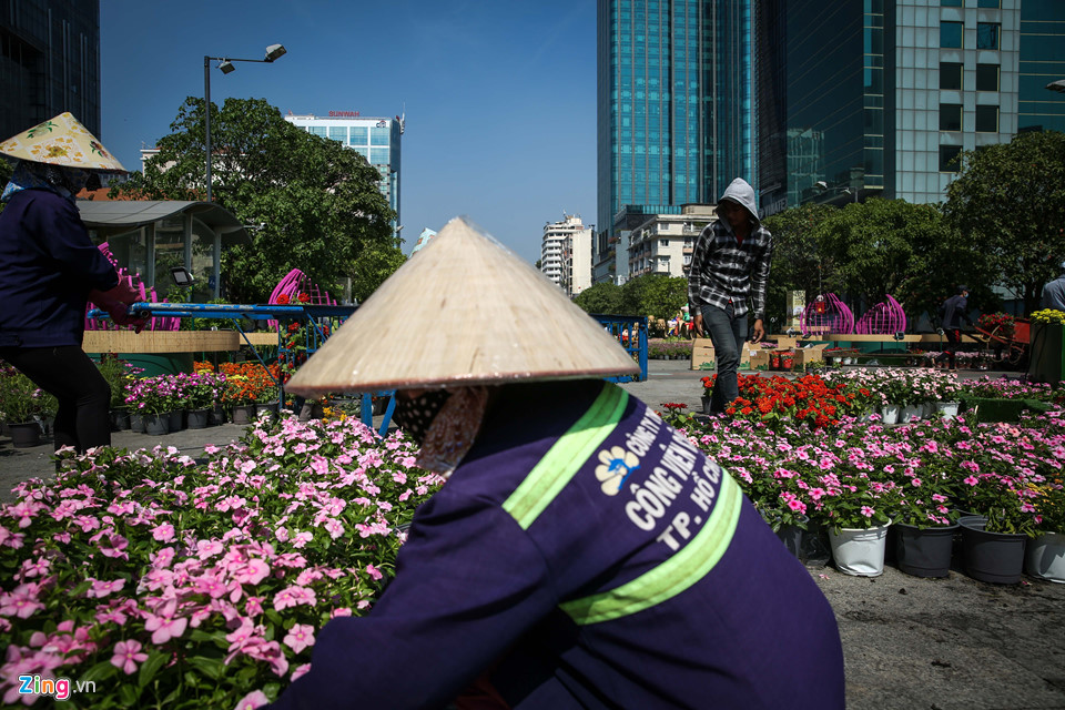 Cận cảnh đàn heo linh vật ở đường hoa Nguyễn Huệ trước giờ khai mạc