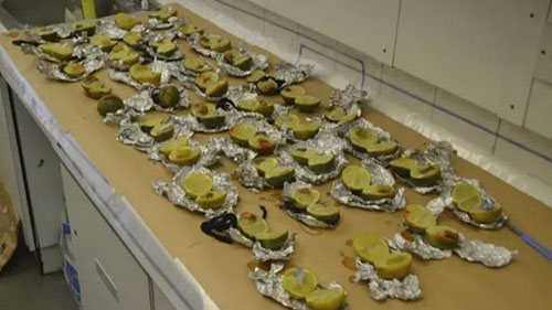 Người phụ nữ Anh bị truy tố vì cắt âm đạo của con gái