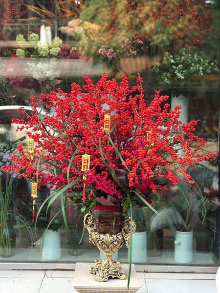 Mai, đào nhập khẩu giá chục triệu một bình hút khách