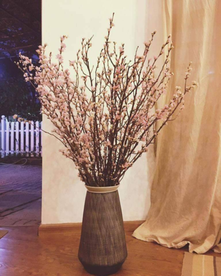 Mai, đào nhập khẩu giá chục triệu một bình hút khách