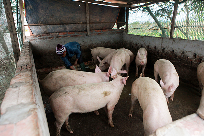 Bà mẹ sinh 14 con ở Hà Nội: 30 năm nay, tôi chưa có cái Tết nào vui