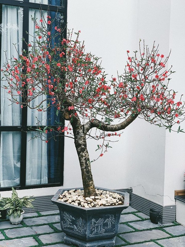 Không gian đón Tết đầy sang trọng, xa hoa của hai mỹ nhân Vbiz trong năm đầu về nhà chồng