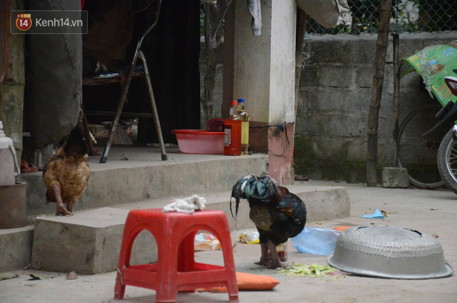 Tết buồn của cặp vợ chồng chênh lệch 43 tuổi ở Hà Nam: Không đào quất, không bánh chưng, 3 đứa con thơ phải mặc đồ cũ