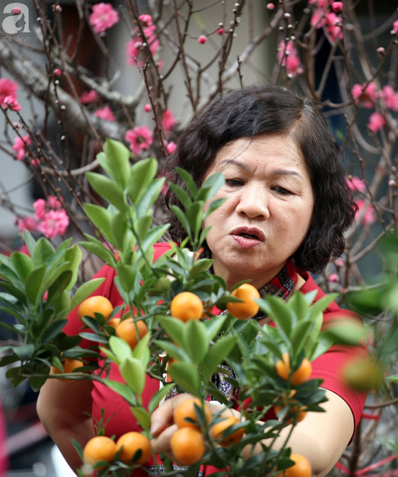 Hà Nội: Chợ hoa cổ Hàng Lược, chỉ họp 1 phiên duy nhất đông nghịt ngày cuối năm