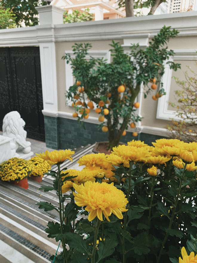 Tăng Thanh Hà khoe biệt thự triệu USD đầy ắp đào mai dịp Tết