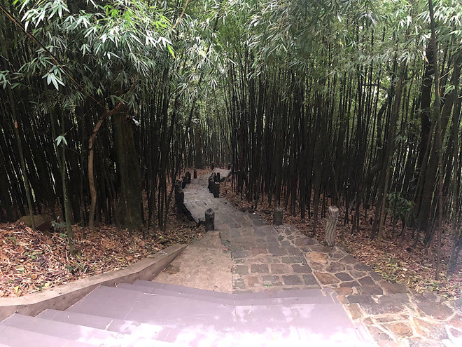 Hoàng Thùy Linh nấu bánh chưng ở Tam Đảo cùng gia đình