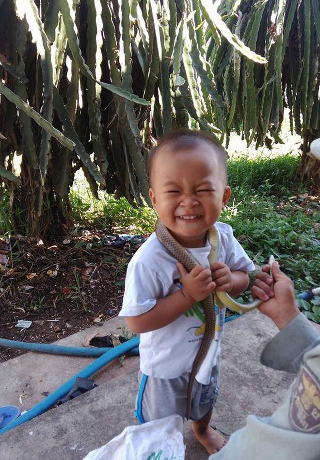 Chuyện hài hước cuối năm: Thấy cả nhà dọn dẹp stress quá, thanh niên 4 tuổi mở chuồng gà hơn 80 con cho mọi người sum vầy hơn Chuyện hài hước cuối năm: Thấy cả nhà dọn dẹp stress quá, thanh niên 4 tuổi mở chuồng gà hơn 80 con cho mọi người sum vầy hơn