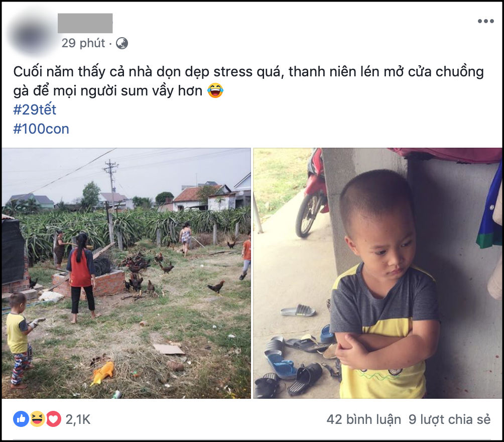 Chuyện hài hước cuối năm: Thấy cả nhà dọn dẹp stress quá, thanh niên 4 tuổi mở chuồng gà hơn 80 con cho mọi người sum vầy hơn