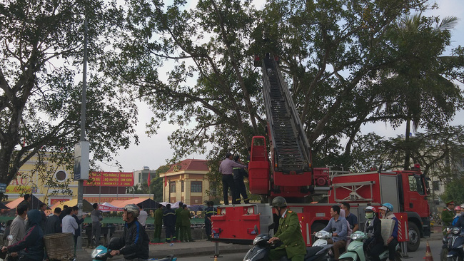 29 Tết, mẹ già phải leo xe thang thuyết phục con trai cố thủ trên ngọn cây ở Ninh Bình