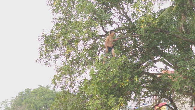 29 Tết, mẹ già phải leo xe thang thuyết phục con trai cố thủ trên ngọn cây ở Ninh Bình