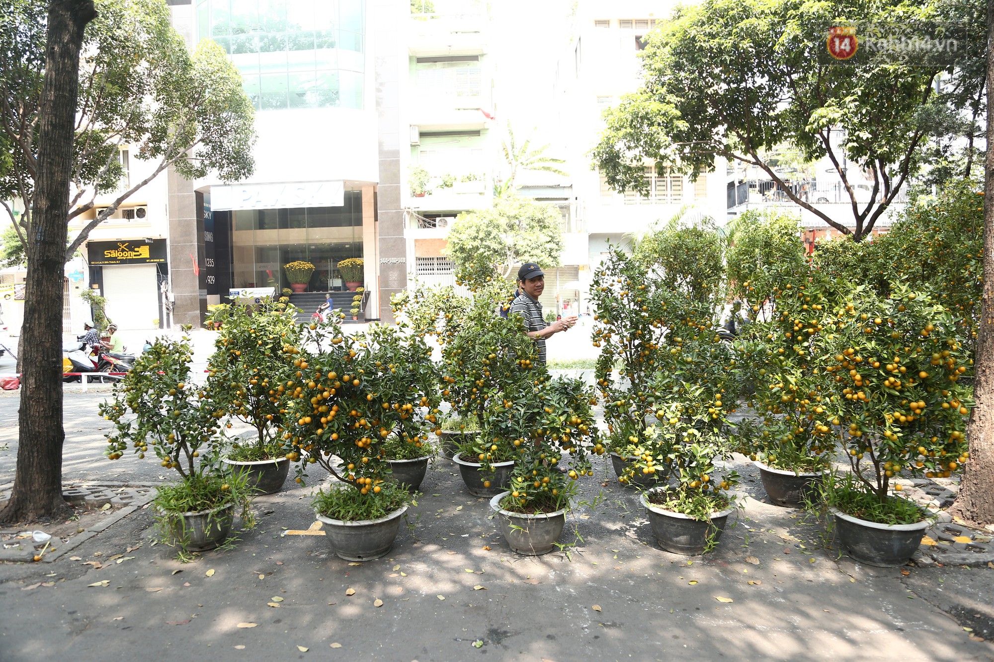 Trưa 30 Tết, nhiều tiểu thương Sài Gòn tự tay đập chậu hoa cảnh, vứt la liệt ở công viên