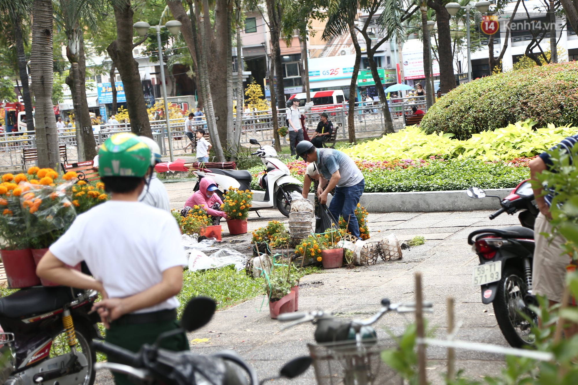 Trưa 30 Tết, nhiều tiểu thương Sài Gòn tự tay đập chậu hoa cảnh, vứt la liệt ở công viên