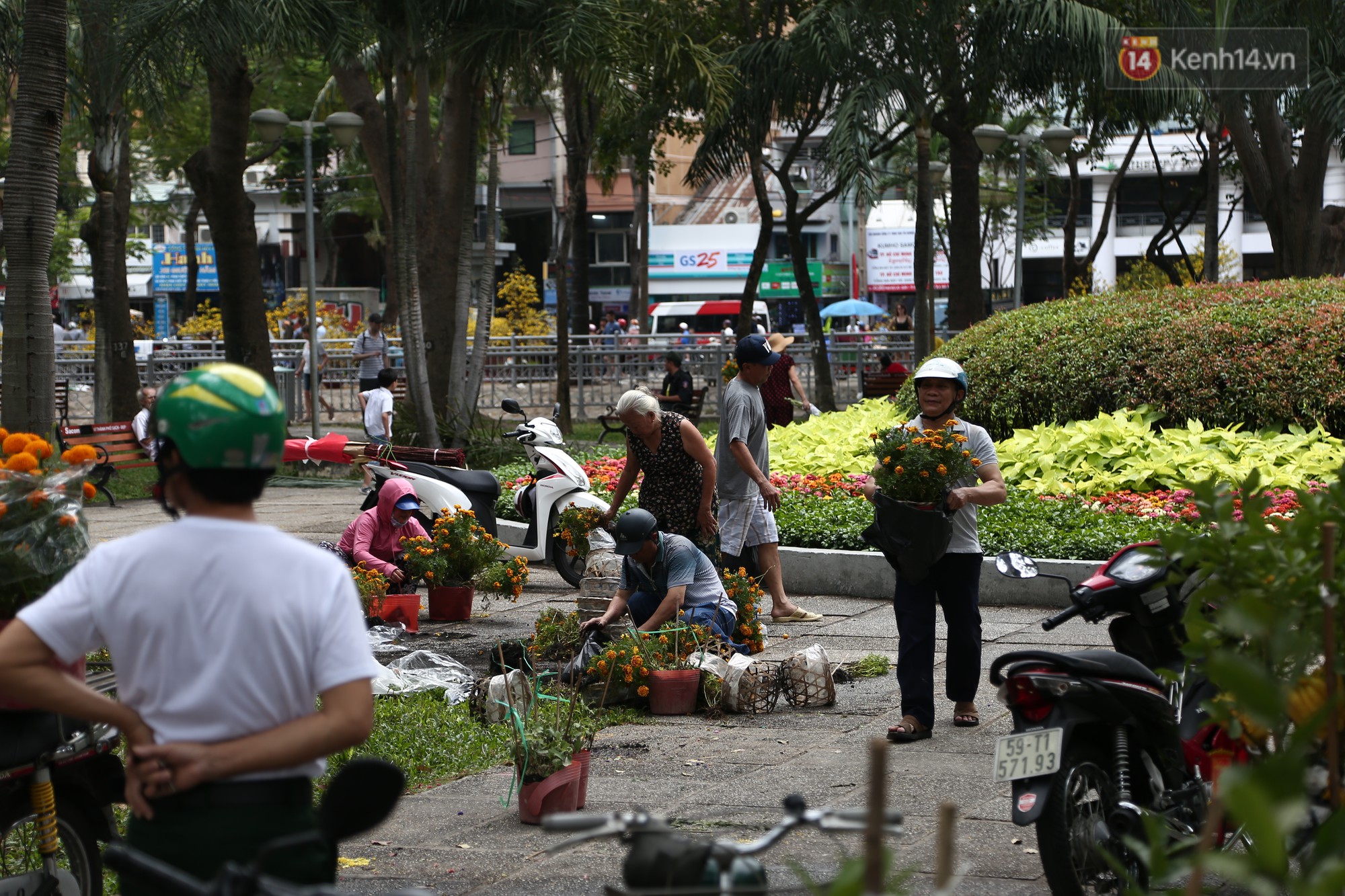 Trưa 30 Tết, nhiều tiểu thương Sài Gòn tự tay đập chậu hoa cảnh, vứt la liệt ở công viên