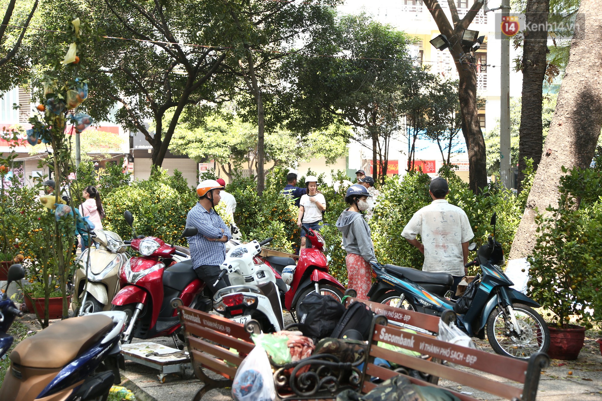Trưa 30 Tết, nhiều tiểu thương Sài Gòn tự tay đập chậu hoa cảnh, vứt la liệt ở công viên