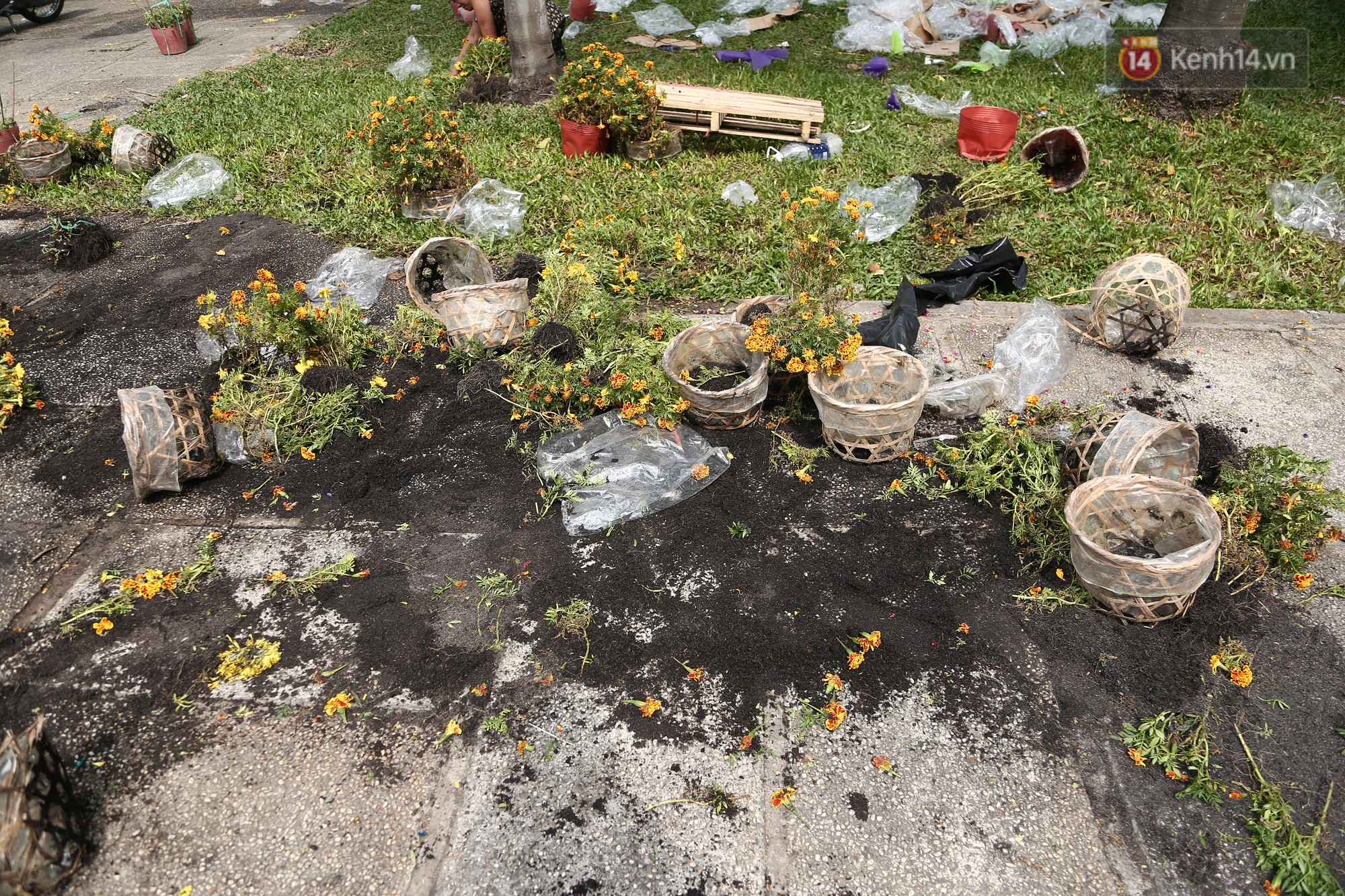 Trưa 30 Tết, nhiều tiểu thương Sài Gòn tự tay đập chậu hoa cảnh, vứt la liệt ở công viên