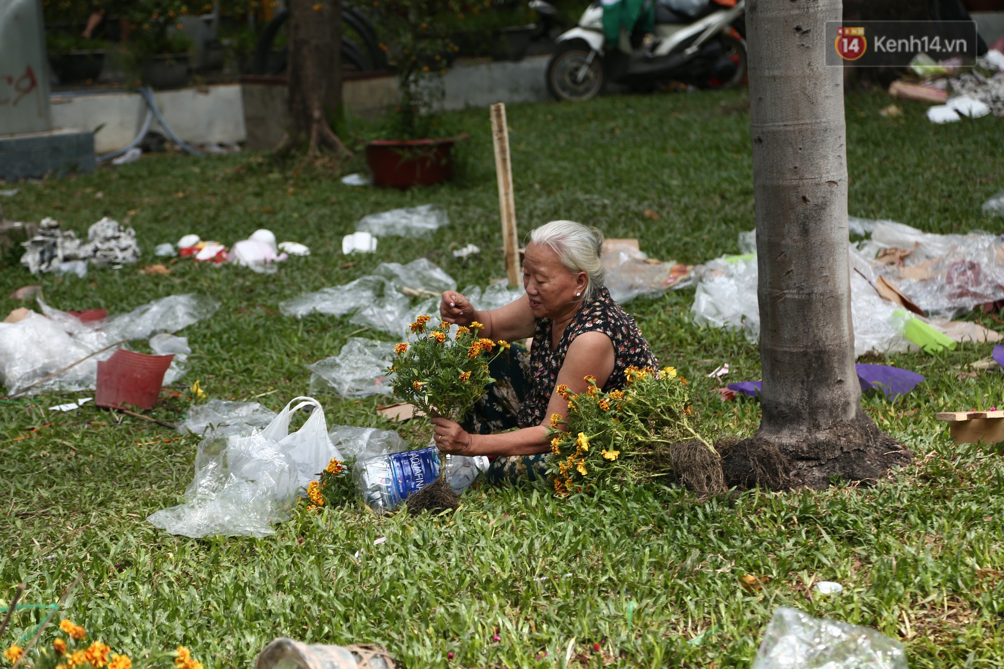 Trưa 30 Tết, nhiều tiểu thương Sài Gòn tự tay đập chậu hoa cảnh, vứt la liệt ở công viên