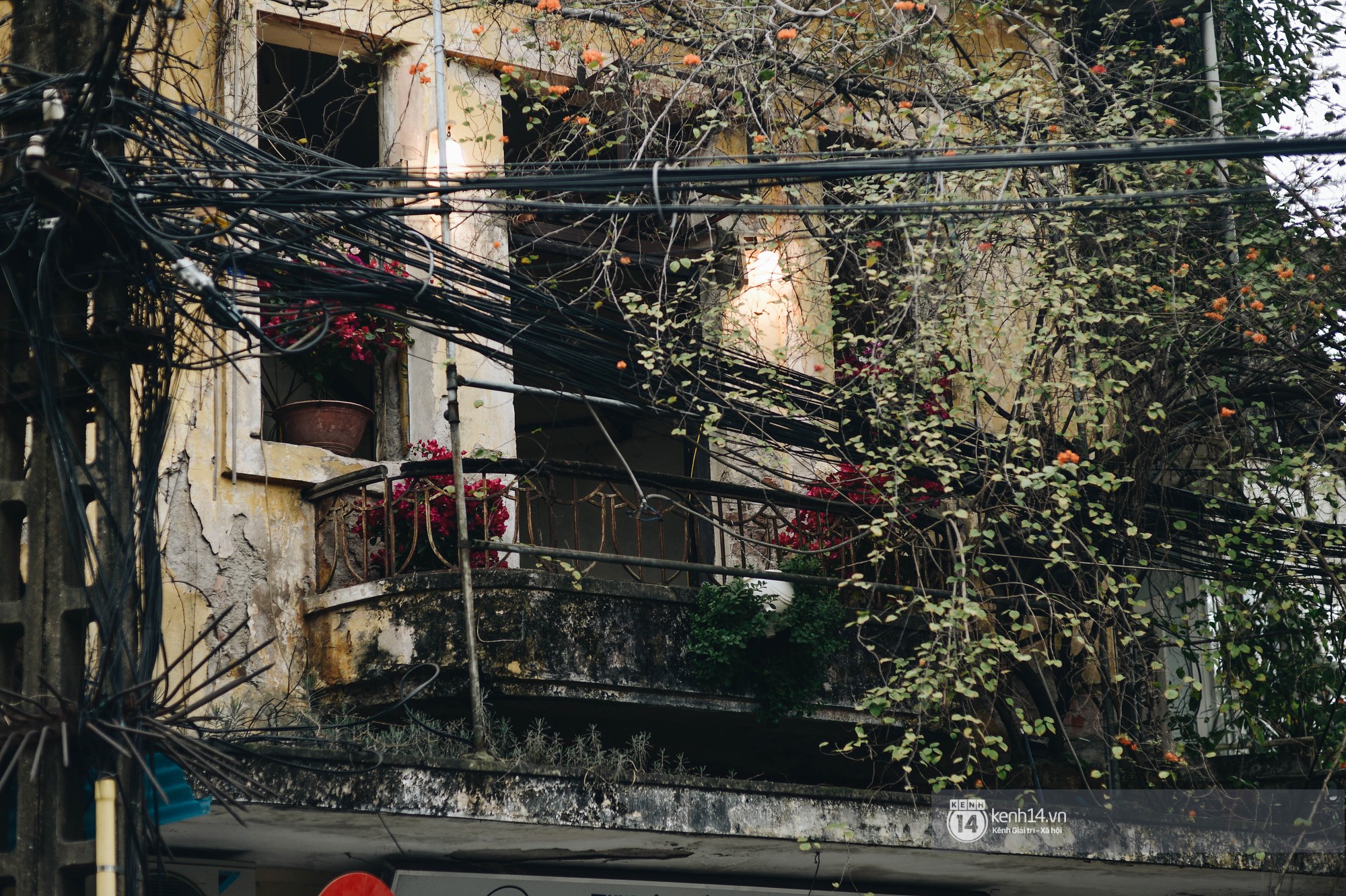 Có một Hà Nội sáng 30 Tết vắng lặng, an nhiên và rất... Hà Nội!