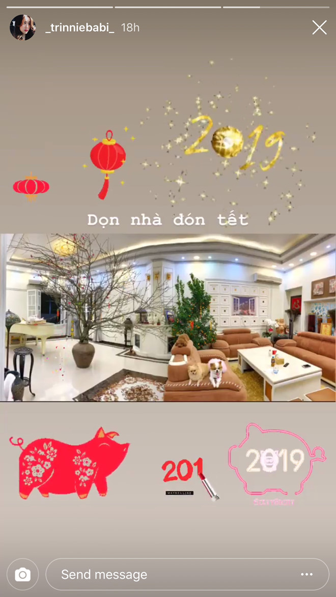 Rich kid Việt khoe nhà trang hoàng sang chảnh, hộp mứt vàng đón Tết