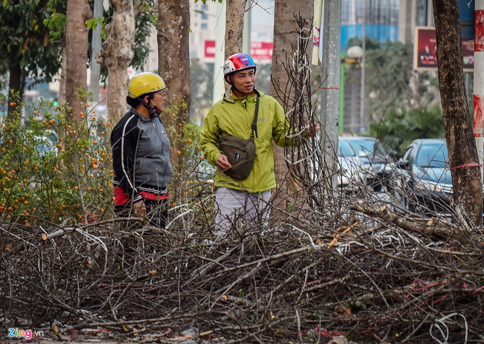 Đào quất vứt ngập phố, người dân thoải mái nhặt về chơi Tết