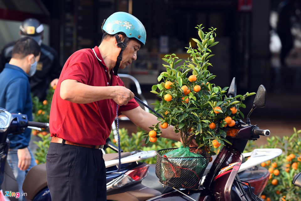 Đào quất vứt ngập phố, người dân thoải mái nhặt về chơi Tết