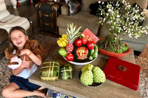 Sao Việt khoe ảnh nhà đẹp đón Tết Kỷ Hợi