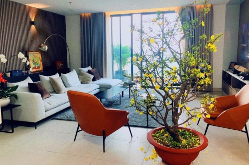 Sao Việt khoe ảnh nhà đẹp đón Tết Kỷ Hợi