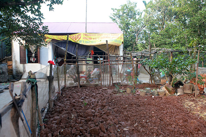 Tết không đào, không quất của cặp vợ chồng chú – cháu