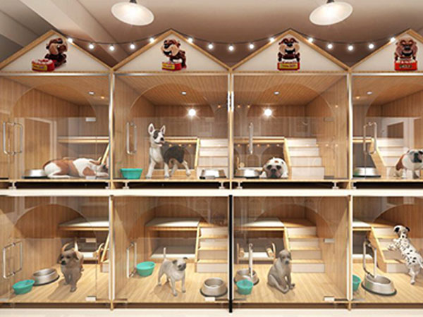 Chi 5 triệu gửi thú cưng đi nghỉ khách sạn ngày Tết